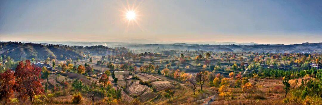 快看！火爆全球的“DeepSeek”邀您来大悟红叶景区！